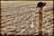 American West Rodeo Cowboy Hat and Lasso on Fence