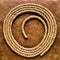 American West Rodeo Rancher Rope on Grunge Leather