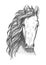 American wild west mustang sketch icon
