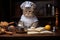 American Wirehair Cat Dressed As A Chef At Work