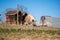 American Yorkshire pig mother with its piglets on the farm, sunlit grass, farm and sky background