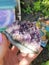Amethist Amethyst Crystal Cluster Gemstone Gems Tarot Background