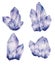 Amethyst Crystal Clusters