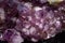 Amethyst Druse in a awesome closeup