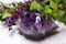 Amethyst gemstone and healing herbs on white table, closeup