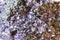 amethyst mineral texture