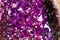 Amethyst purple crystal. Mineral crystals in the natural environment. Texture of precious and semiprecious gemstone