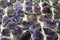 amethyst violet background