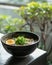 Amidst a serene setting, a bowl of bland organic ramen broth offers a gentle, soothing base for a personalized culinary journey