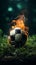 Amidst smoke, soccer ball rests on stadium grass, offering room for creative design