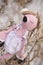 Amigurumi toy. Sleeping pink flamingos