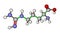Amino acid arginine molecule