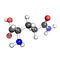 Amino acid glutamine