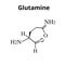 The amino acid Glutamine. Amino acid glutamine chemical molecular formula. Vector illustration on isolated background