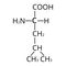 Amino acid Leucine. Chemical molecular formula of amino acid leucine. Vector illustration on isolated background