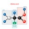 Amino acid. structural formula and model of molecule