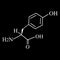 The amino acid Tyrosine. Chemical molecular formula of Tyrosine amino acid. Vector illustration on isolated background