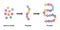 Amino acids, Peptides And Proteins