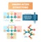 Amino acids structure vector illustration. Serine molecule diagram.