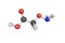 Aminooxyacetic acid, indicated as a useful tool to study region