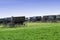 Amish black buggies parked in green pasture