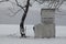 Amish boy peeking from outhouse fence