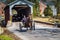 Amish Buggy at Lime Valley Covered Bridge