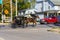 Amish Buggy Transportation