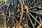 Amish buggy wheels