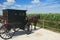Amish carriage