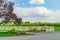 Amish country corn field, road trees fence and flowers in Lancaster, PA US