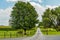 Amish country corn field, road trees fence and flowers in Lancaster, PA US