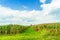 Amish country cornfield field agriculture in Lancaster, PA US