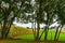 Amish country farm barn field agriculture in Lancaster, PA US