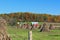 Amish farm in autumn