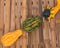 Amish farm colorful pumpkin