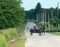 Amish Farm Woman, Horse, Buggy