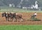 Amish farmer prepairing his cornfield