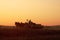 Amish Farmer at Sunset