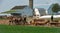 Amish Farmers working the Fields