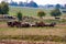 Amish Farmers Working with There Horses