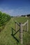 Amish fence - portrait