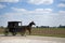 Amish horse and buggy