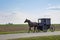 Amish horse and buggy