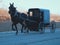 Amish horse and buggy