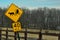 Amish Horse and Buggy road sign in foreground with horses grazing in the background