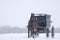 Amish horse and buggy,snow,storm