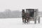 Amish horse and buggy,snow,storm