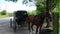 Amish Horse and Buggy Tied Up Waiting