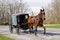 Amish Horse and Carriage